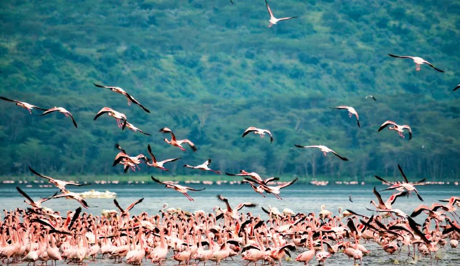 Lac Nakuru