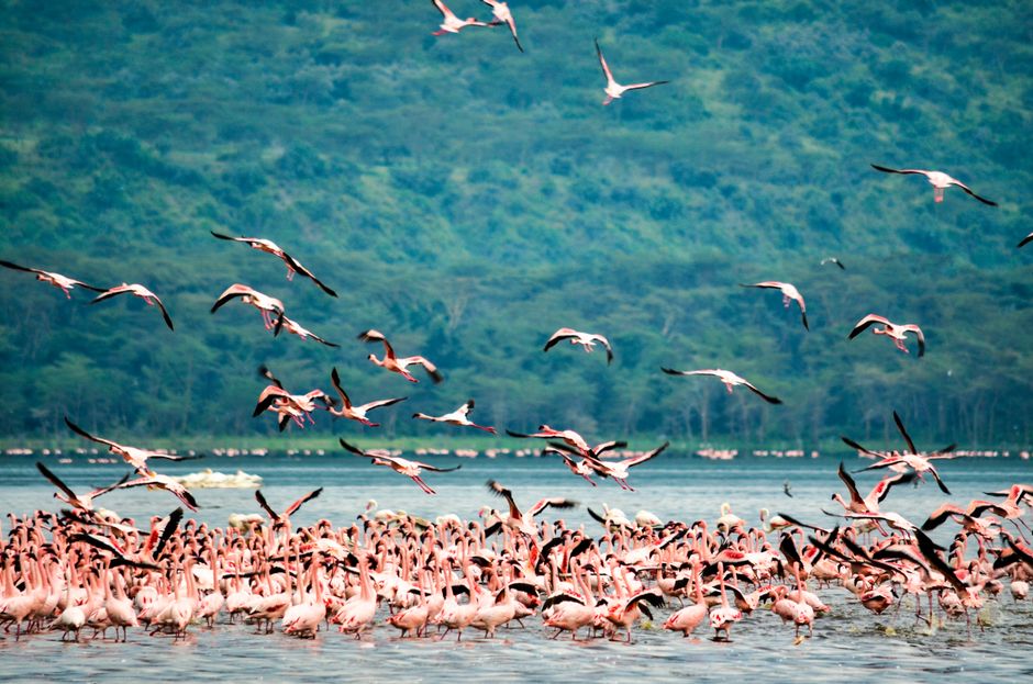 Trouver un Travail a Nakuru en 2026 : Guide pour Expatries