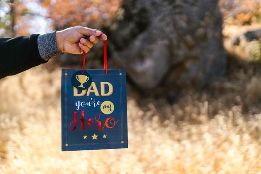 Person Holding Blue Shopping Bag