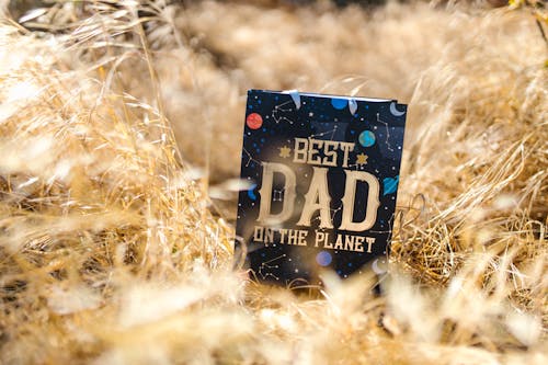 A Blue Gift Bag on Dried Grass