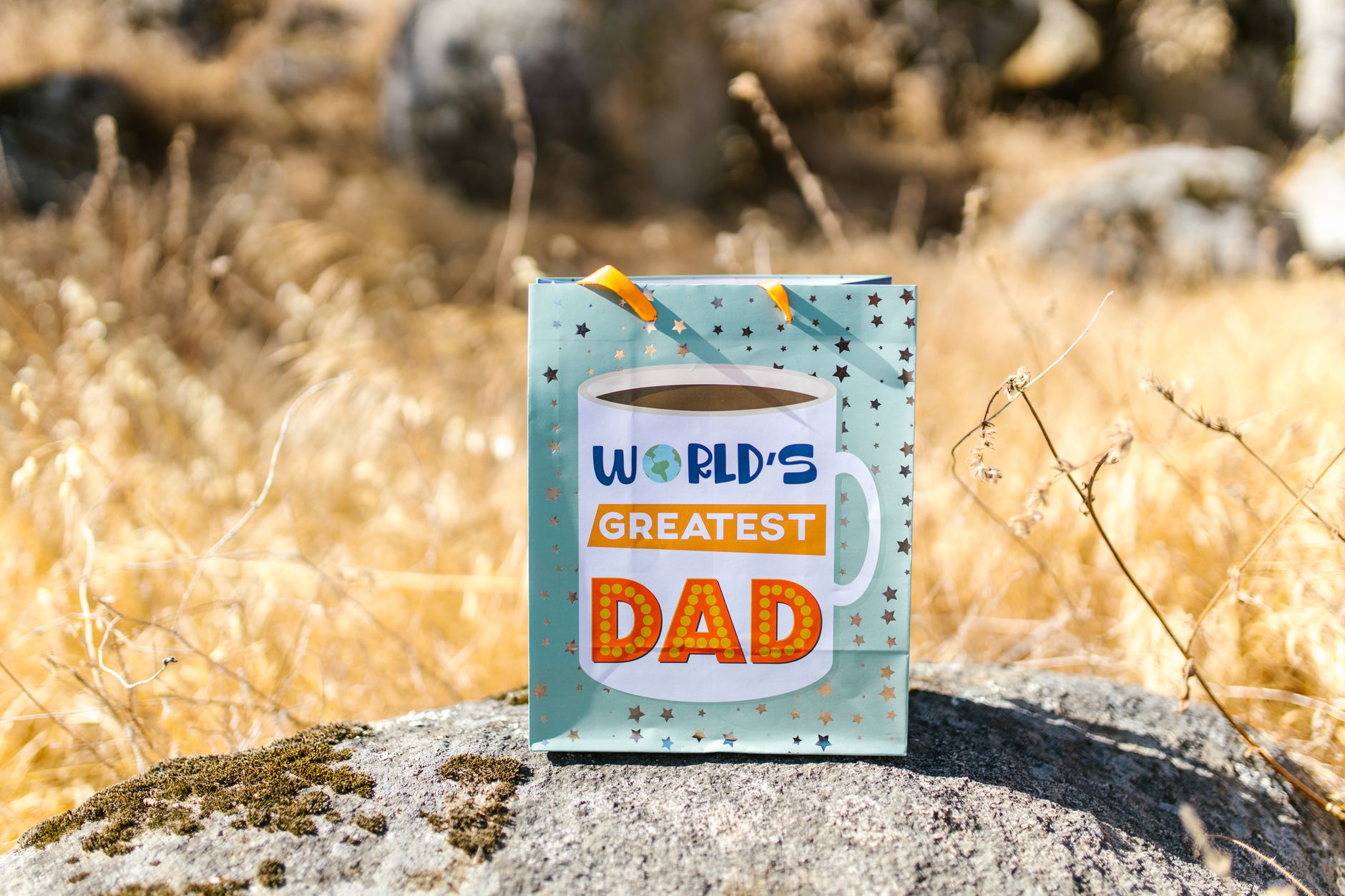 A gift bag with 'World's Greatest Dad' text set outdoors on a rock with dry grass.