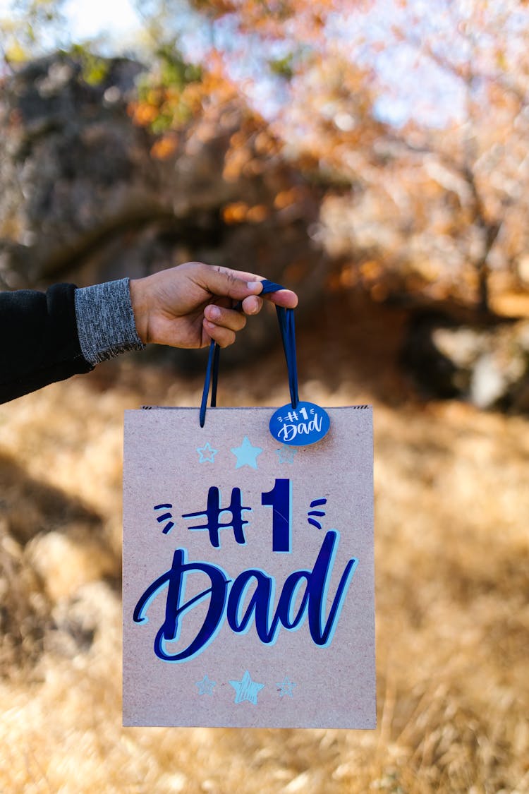 A Person Holding A Gift Bag