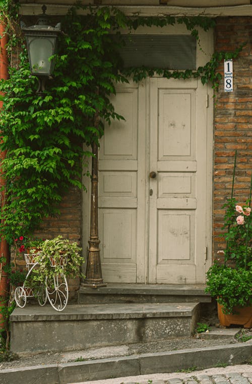 Green Plants Beside White Wooden Door