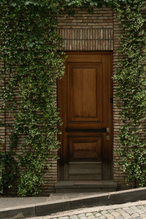 Brown Wooden Door on Brick Wall with Vines