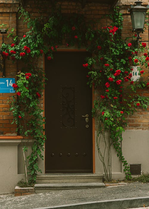 Free Brown Wooden Door With Red Flowers and Vines  Stock Photo
