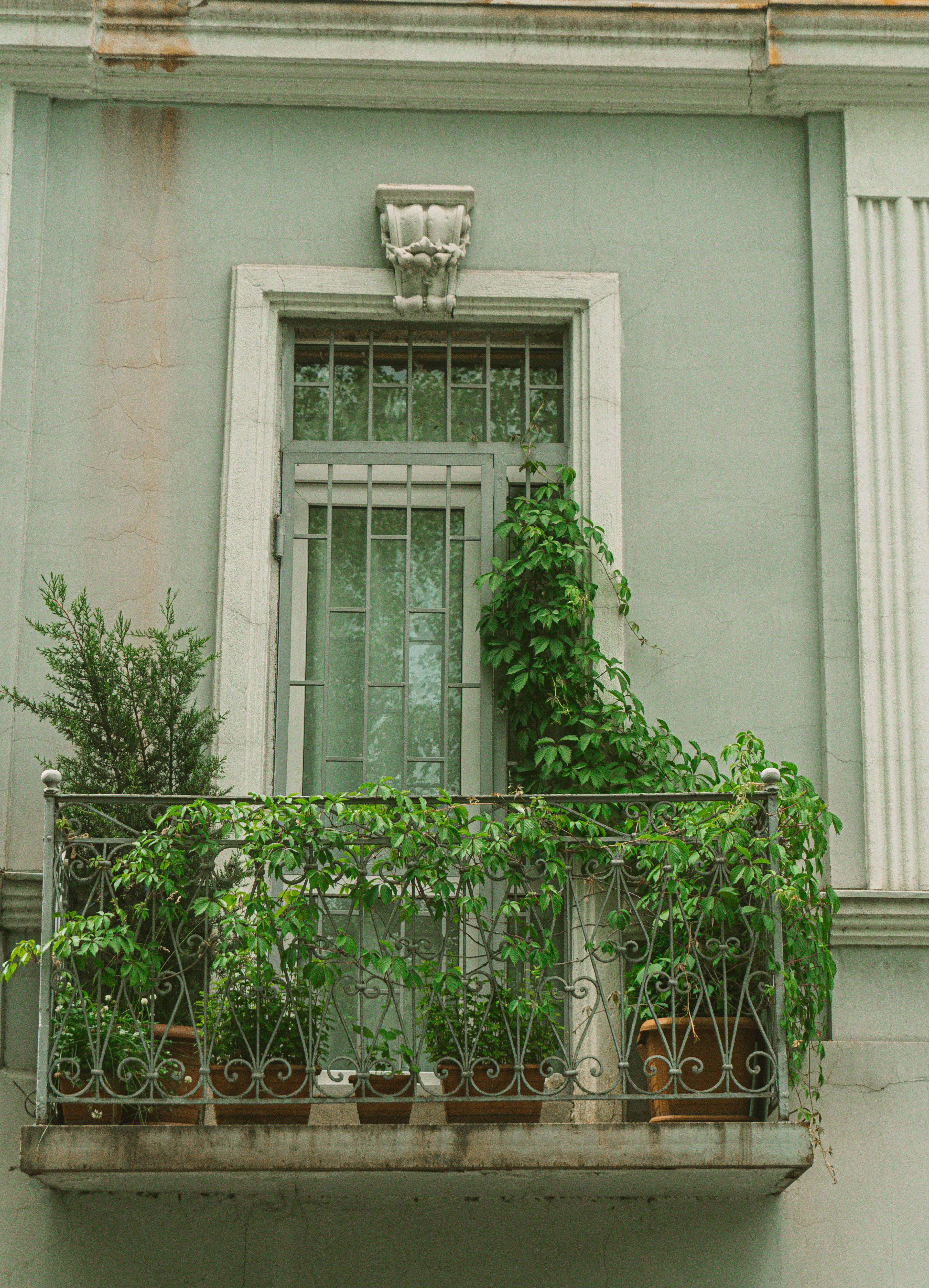 A picturesque balcony adorned with lush green plants, showcasing urban greenery in Tbilisi, Georgia.