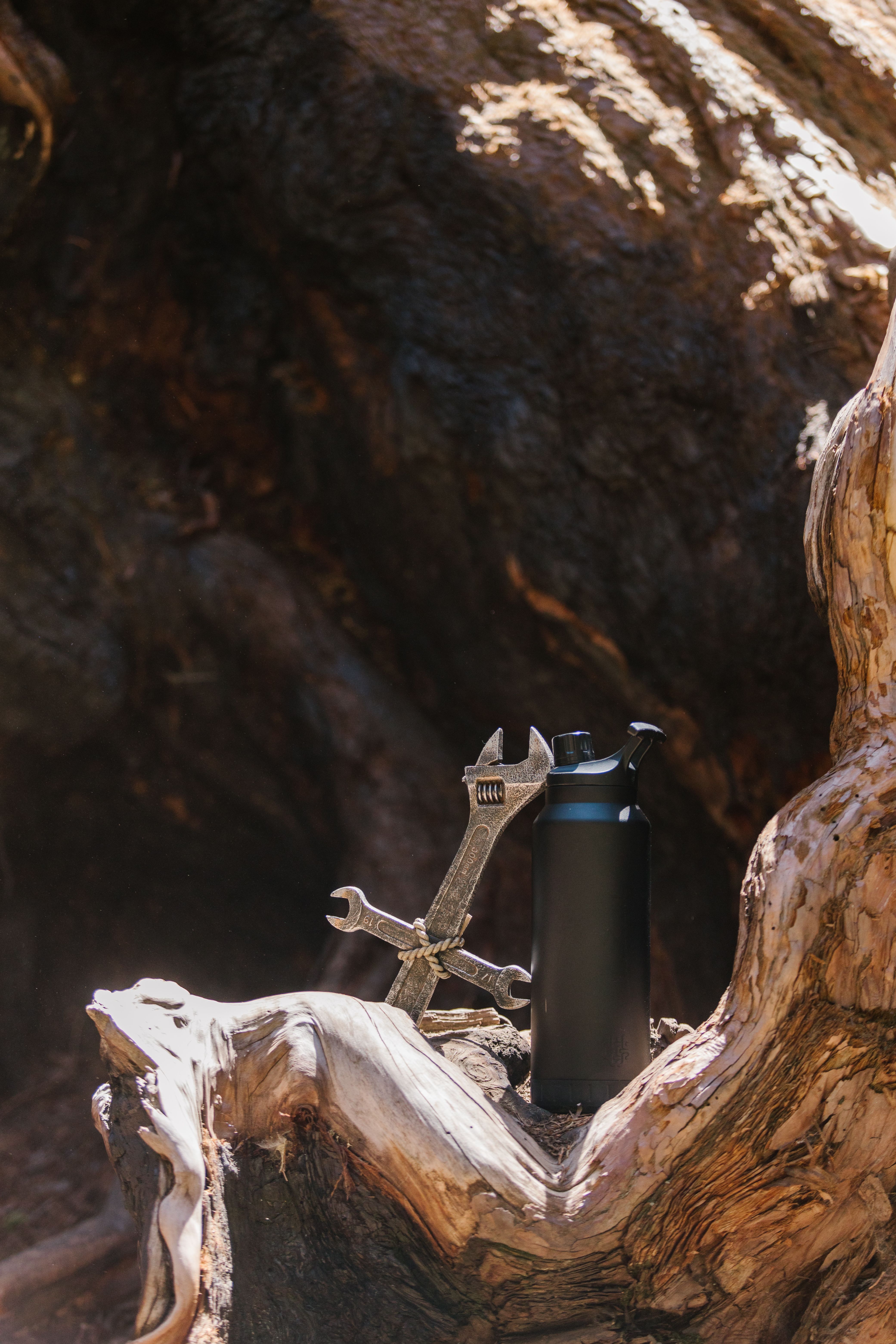Water Bottle and Socket Wrenches on Tree Branch · Free Stock Photo