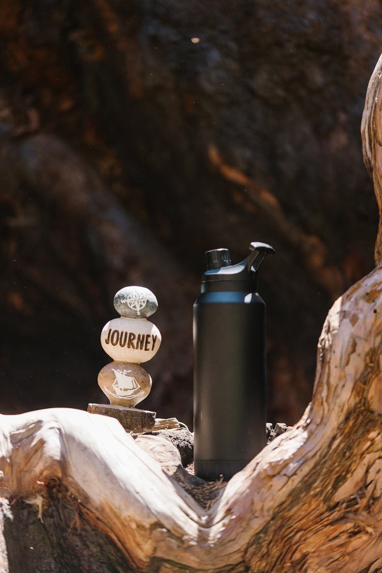 Black Thermal Mug On Tree Trunk