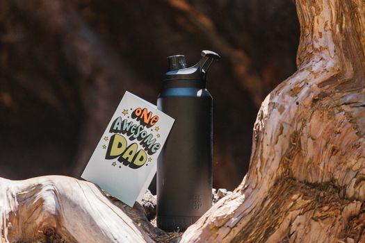 RAYMYLO One Gallon Water Bottle Insulated, Triple Walled Vacuum | Stainless Steel (Cold for 48 Hrs), Leak Proof & Non-BPA, Large Water Flask Jug with Paracord Handle & Straw Spout Lids