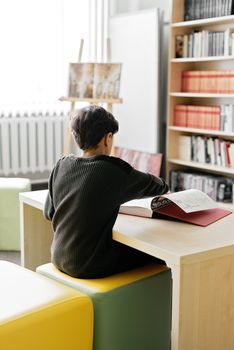 Back view of a boy reading a book in a bright library. Modern learning environment.