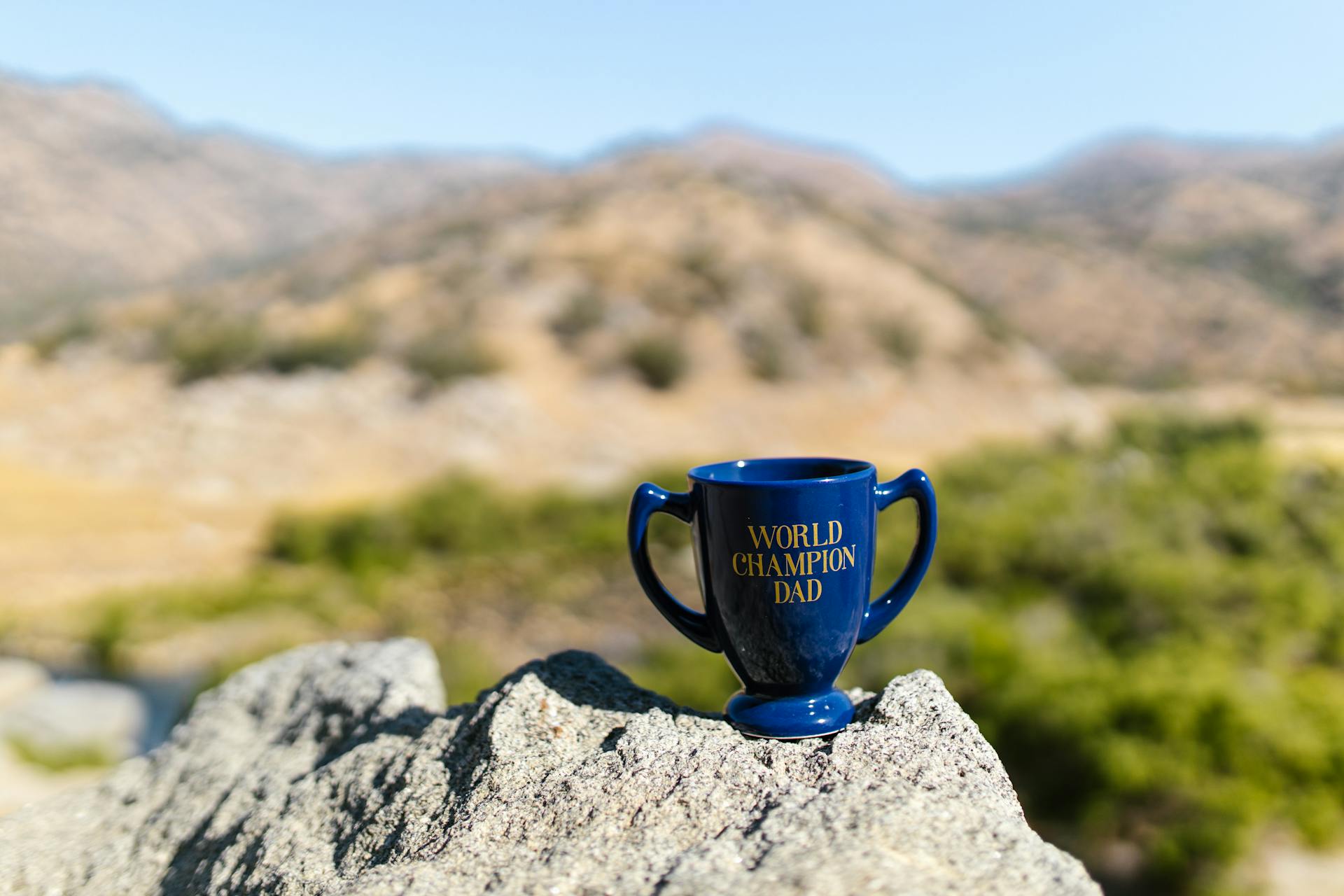 A blue mug with 'World Champion Dad' displayed on a rock with a scenic background.