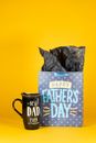 A Best Dad Ever Mug Present