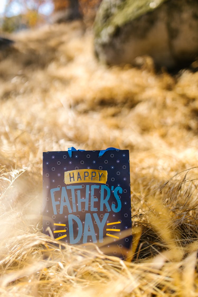 Blue Gift Bag With Happy Father's Day Text On Grass