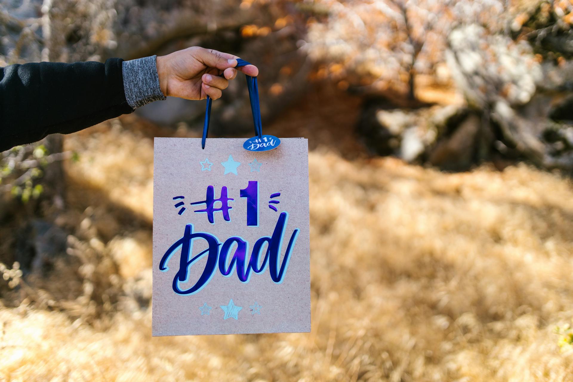 Fathers Day Gift Bag in Hand