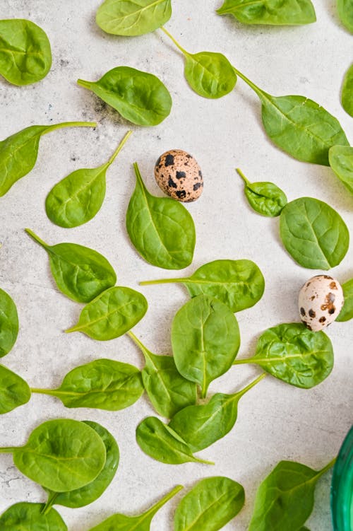 Free Green Spinach Leaves with Two Quail Eggs  Stock Photo
