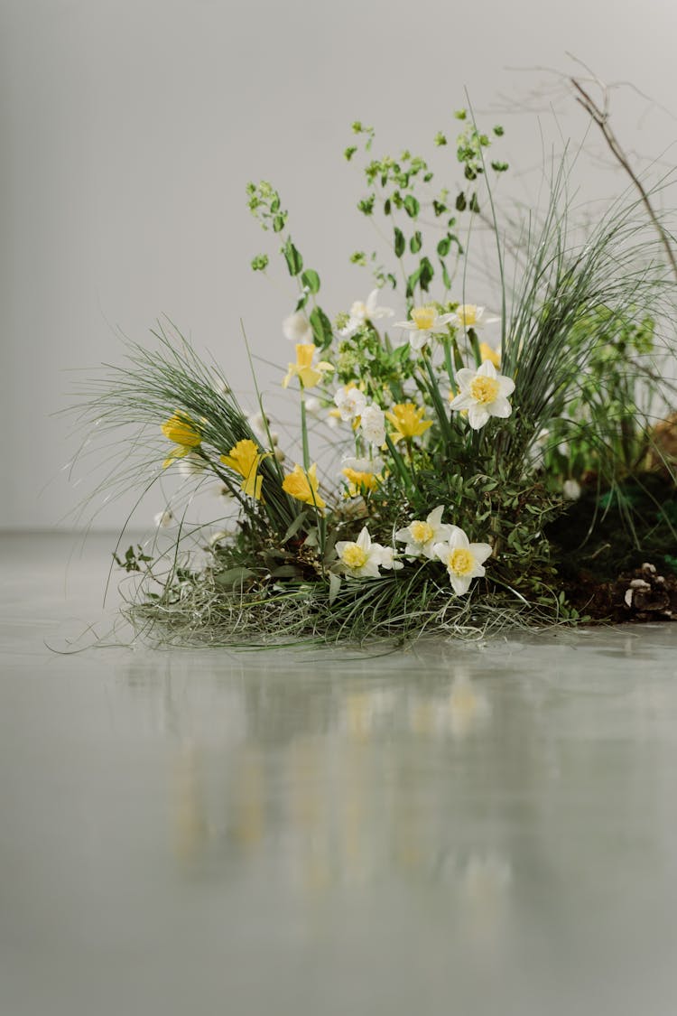 Close Up Of Spring Flowers