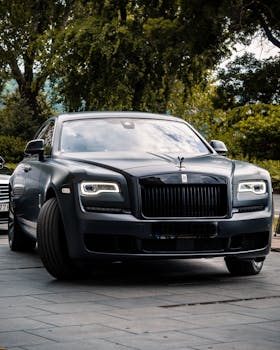 A luxury black car parked on a concrete pavement surrounded by green foliage, symbolizing elegance and sophistication.