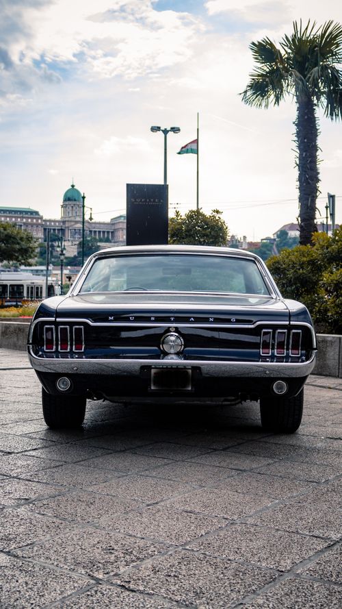 Free Classic black Ford Mustang coupe parked outdoors on a paved city street with lush greenery. Stock Photo
