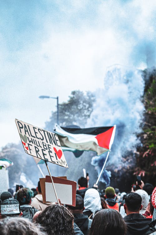 Fotos de stock gratuitas de activistas, acto electoral, bandera de palestina