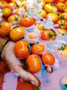 Person Holding Sliced Tomato Fruit