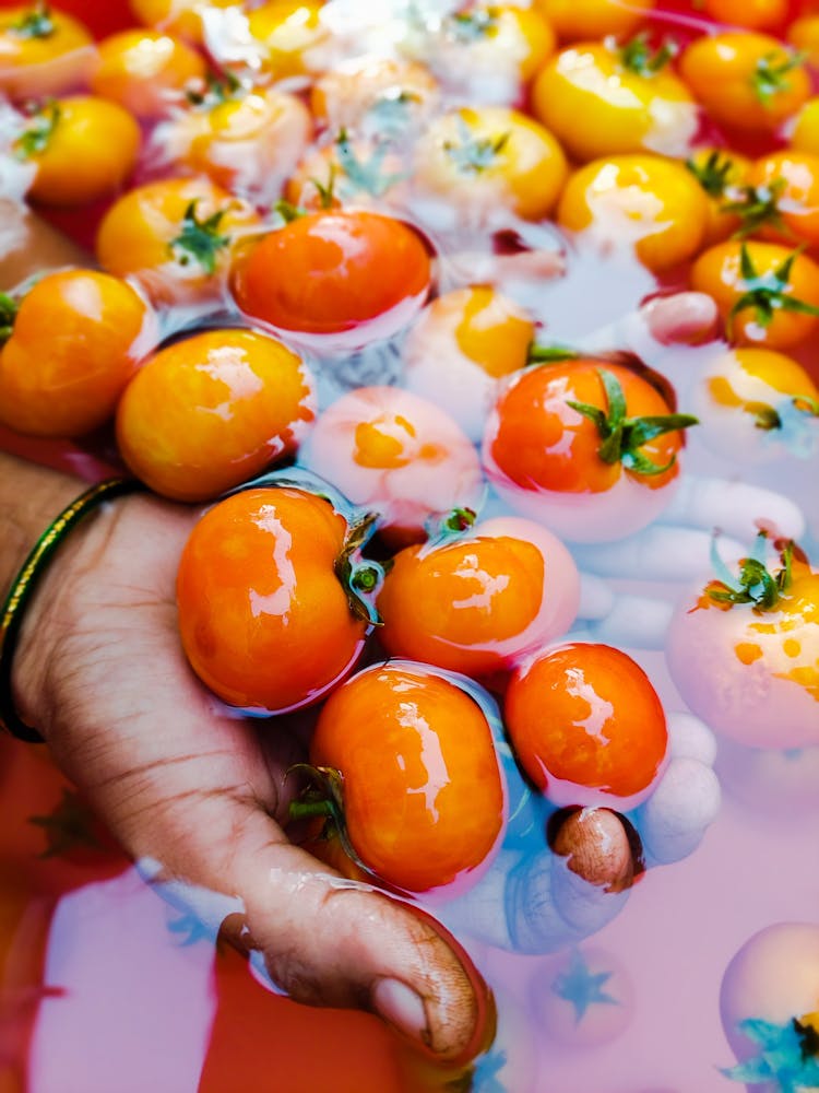 Washing Tomatoes With Clean Water