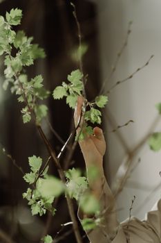 A person's hand gently touches the green leaves of a tree branch, illustrating connection with nature.