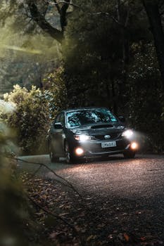 A car with headlights on drives through a winding forest road at dusk, surrounded by trees and foliage.
