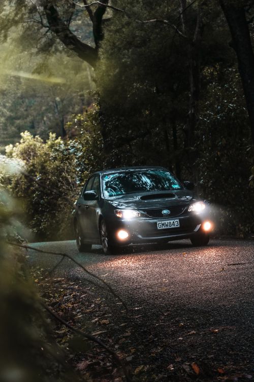 Free A car with headlights on drives through a winding forest road at dusk, surrounded by trees and foliage. Stock Photo