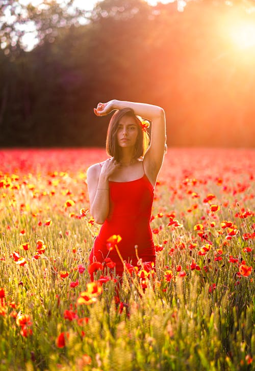 Kostenloses Stock Foto zu blumen, draußen, feld