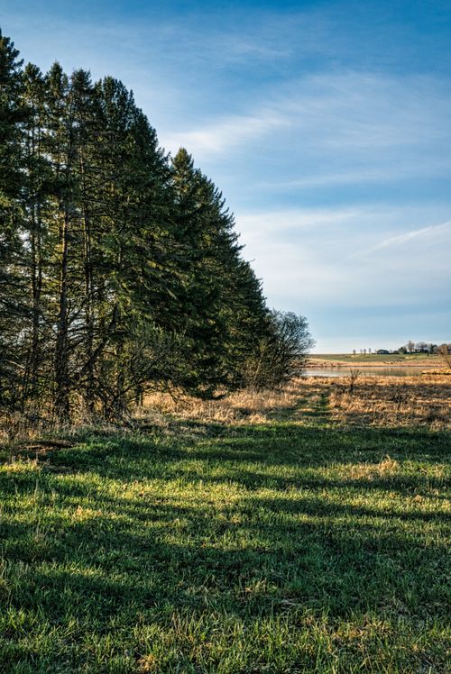 Free Peaceful countryside scene featuring trees and grass fields in MN, USA. Stock Photo