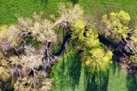 Aerial Shot of a Brook  an the Grass Field