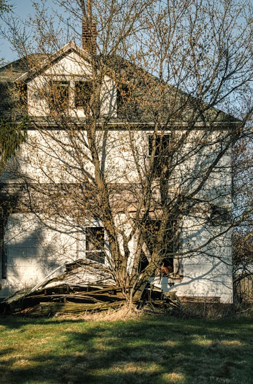 Bare Trees Near an Abandon House