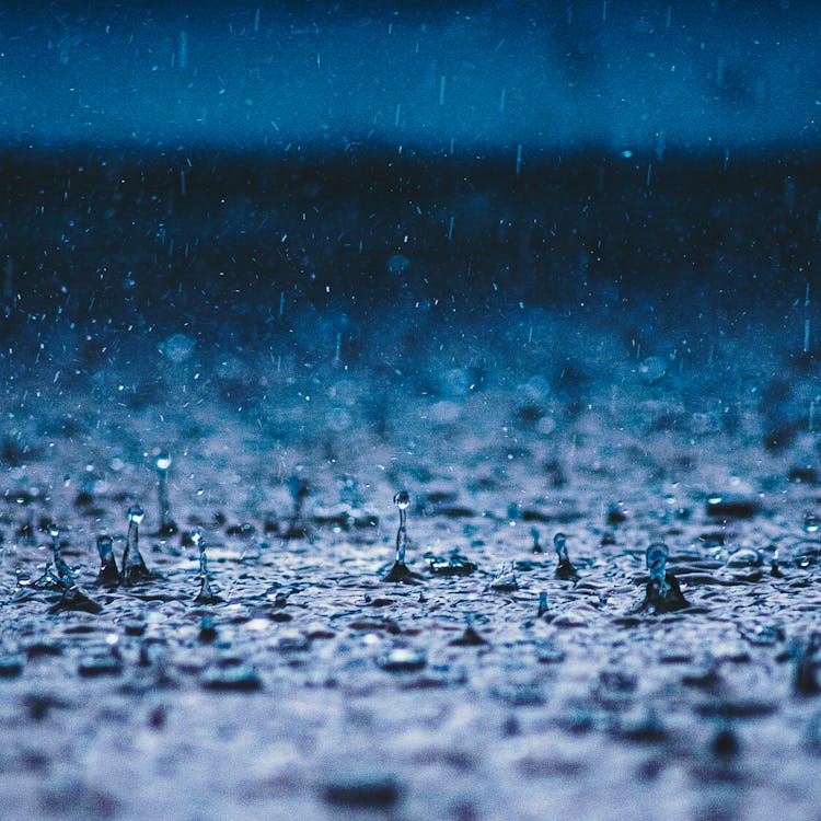Free Water Droplets in Tilt Shift Lens Stock Photo