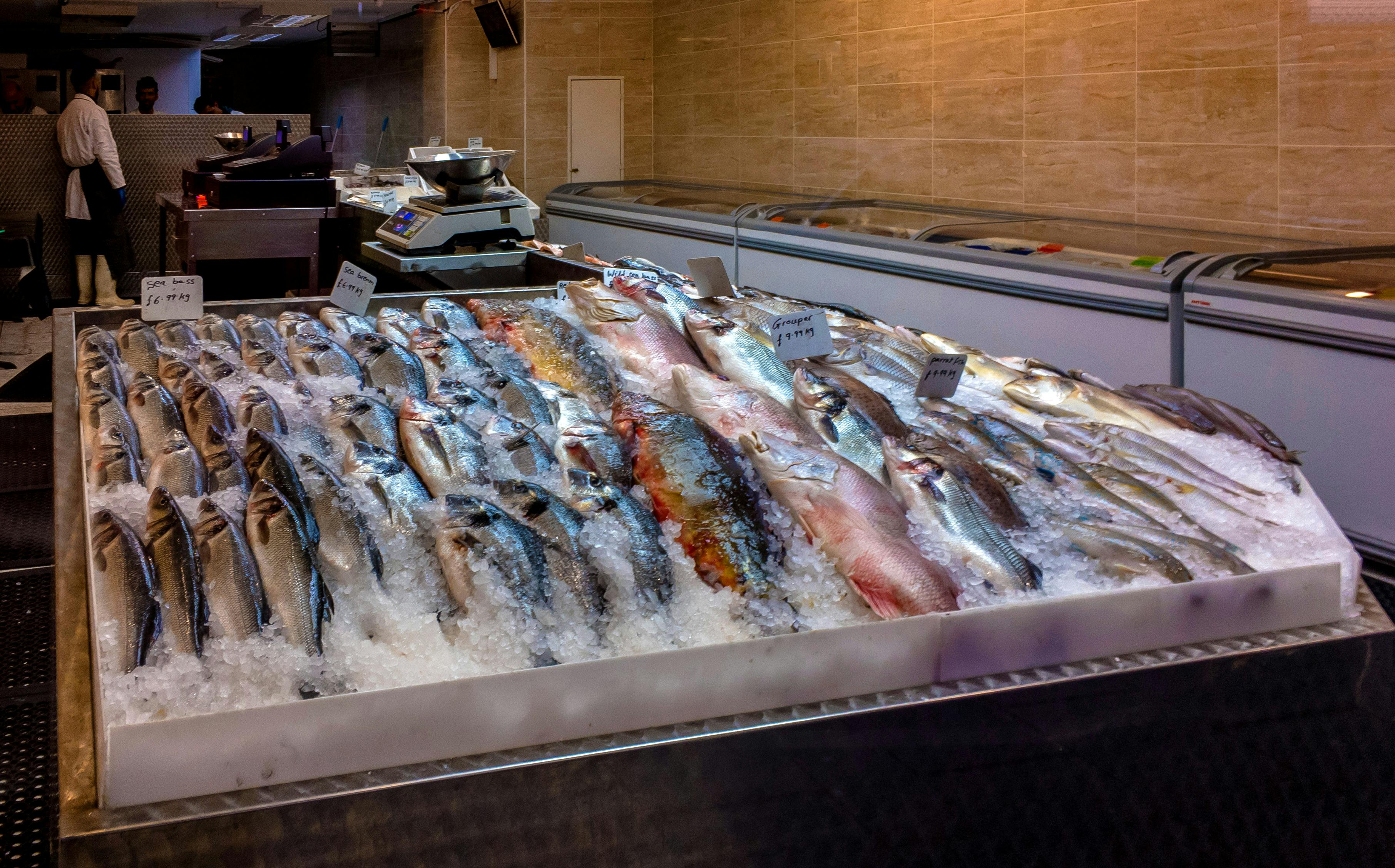 Free stock photo of fish, fish shop, ice