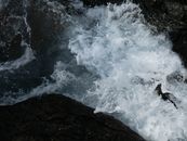 Sea Waves Crashing the Coastal Rocks