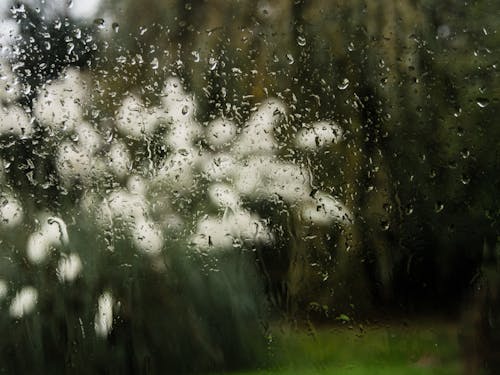 Foto profissional grátis de aguaceiro, borrão, chuva