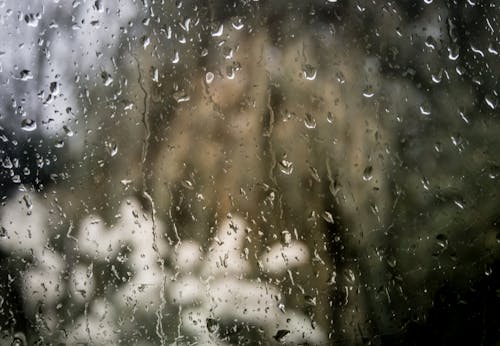 Foto profissional grátis de aguaceiro, borrão, chuva