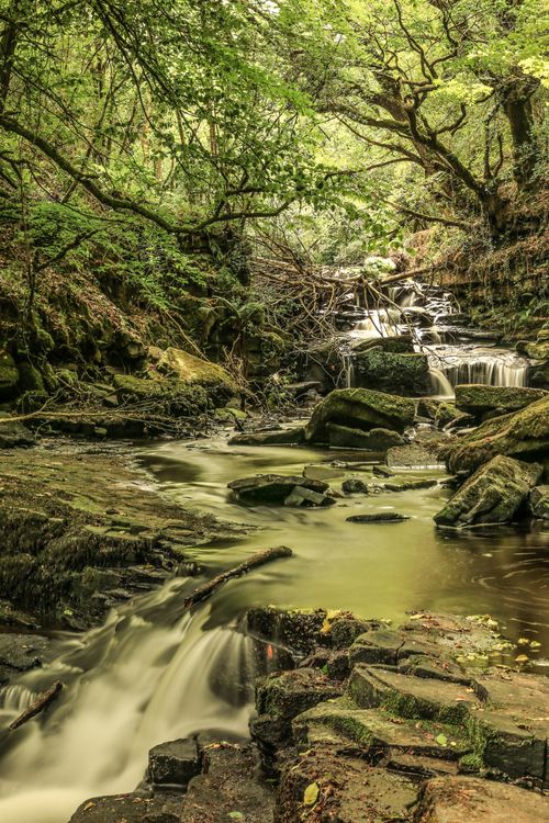 Free Peaceful waterfall surrounded by lush green forest in Ireland, showcasing nature's tranquility. Stock Photo