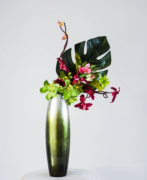 Free stock photo of created by forever bloom Stock Photo