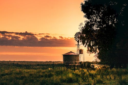 Free stock photo of agriculture, amanecer, amaneceres Stock Photo