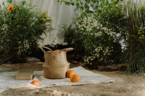 Orange Fruits and Wicker Basket on a Picnic Blanket 