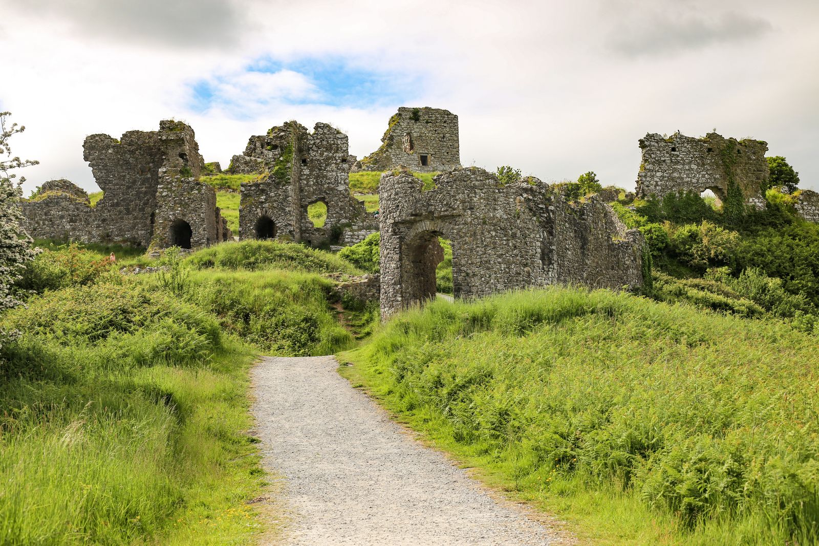 Ancient ruins of the Rock of Dunamase, a historic site in Ireland surrounded by greenery