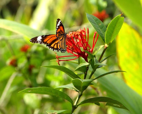 Fotos de stock gratuitas de hermosa naturaleza