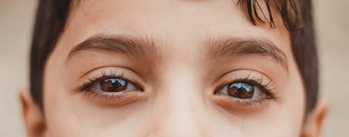 Free Shallow Focus Photography of Human Eyes Stock Photo