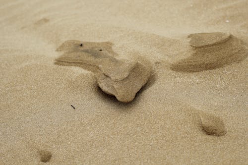 Kostenloses Stock Foto zu dürr, nahansicht, sand
