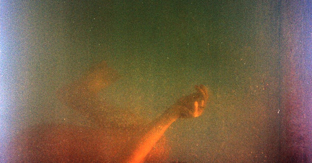 How do dolphins sleep underwater without drowning