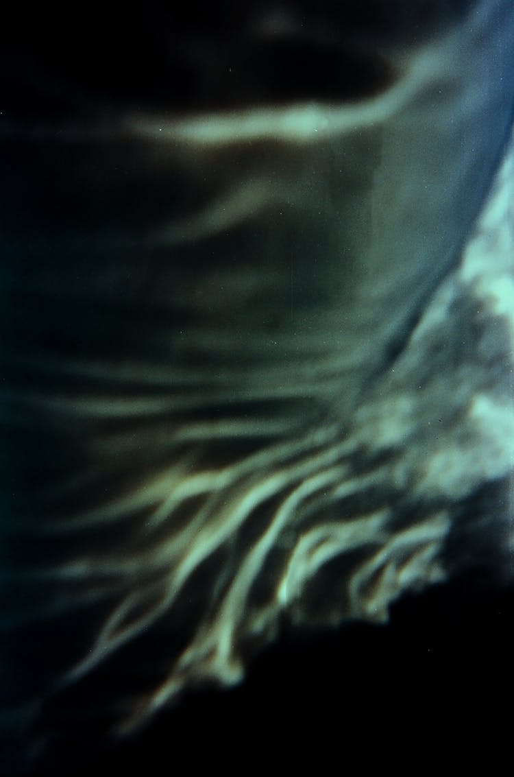 Close Up Photography Of Fish Tail