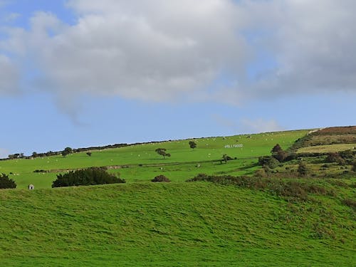 Free stock photo of blue sky, dublin ireland, grass