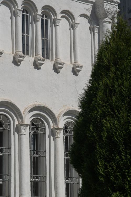 Free Detailed view of a white stucco building with unique arched windows, partly obscured by a lush evergreen tree. Stock Photo