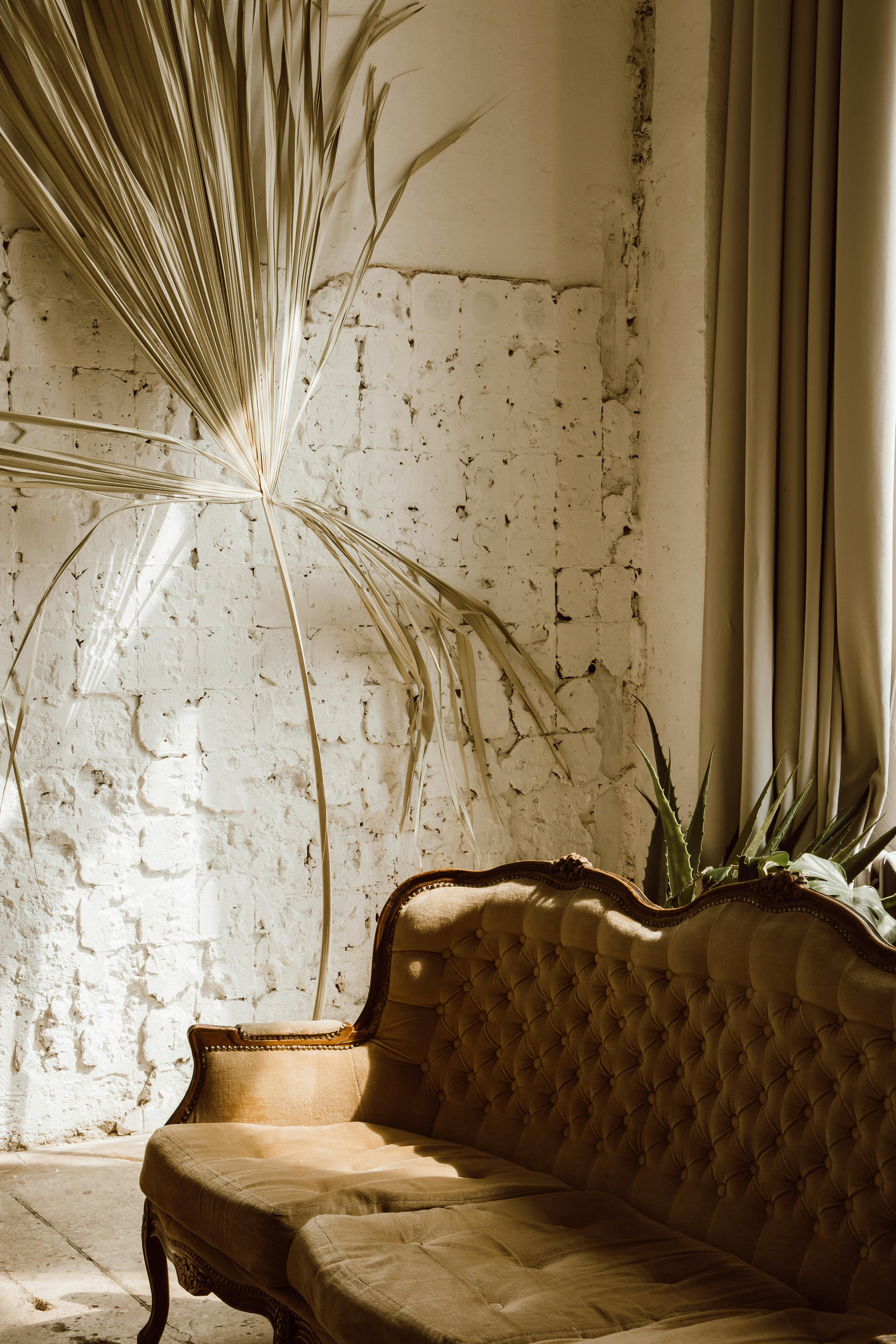 wood furniture Parnassus
